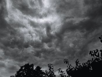 Low angle view of silhouette trees against storm clouds