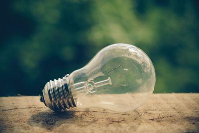 Close-up of light bulb on table