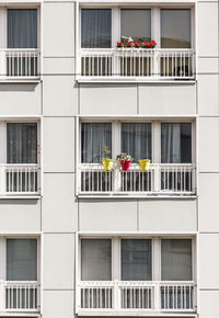 Flowers in balcony against window