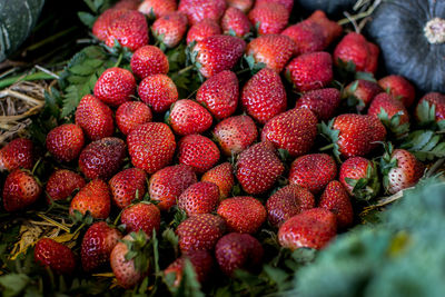 High angle view of strawberries in market