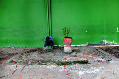 Sad man sitting by potted plant against green wall