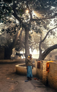 Rear view of woman standing by tree trunk