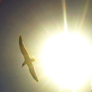 Low angle view of sun shining through clouds