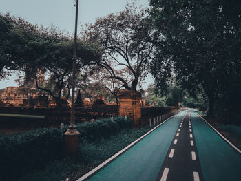 Road by trees in city