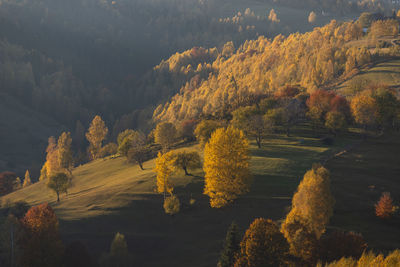 Scenic view of trees on landscape against sky