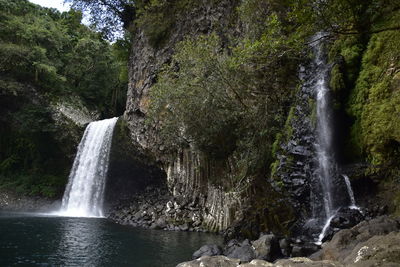 Waterfall in forest