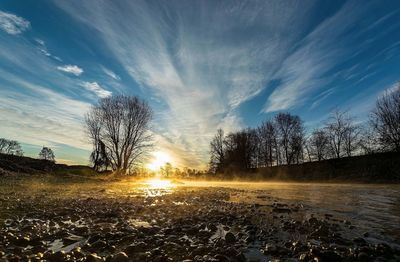 Scenic view of trees against sky during sunset