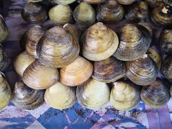 Full frame shot of onions for sale at market stall