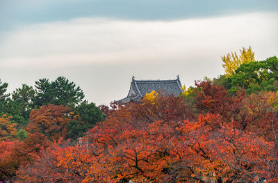 Low angle view of trees against sky during autumn