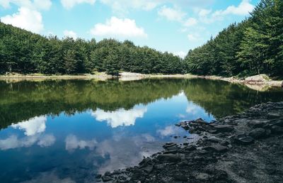 Scenic view of lake by trees against sky