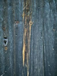 Close-up of wooden plank