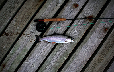 Close-up of rusty wooden door