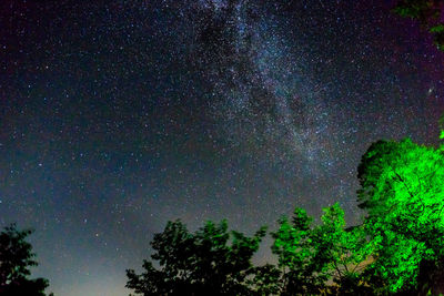 Low angle view of trees against sky at night