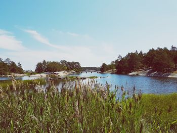 Scenic view of lake against sky