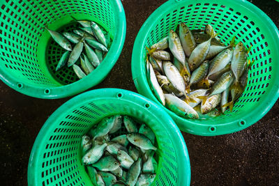 High angle view of fish in basket