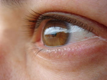 Close-up of brown eyes