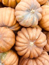 Full frame shot of pumpkins