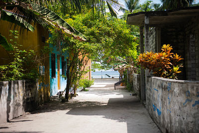 Footpath amidst plants and buildings in city