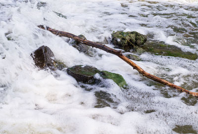 High angle view of water flowing through rocks