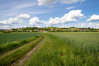 Scenic view of agricultural field against sky