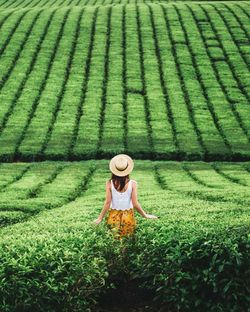 Woman in a field