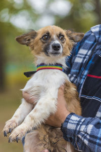 Low section of man with puppy sitting outdoors