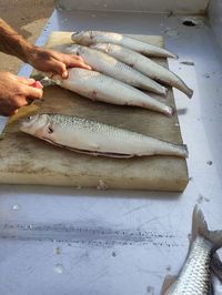 High angle view of fish on table