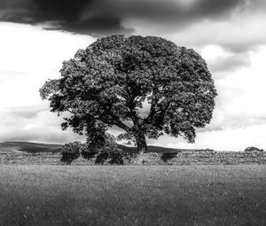 Scenic view of field against cloudy sky