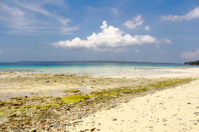 Scenic view of beach against sky