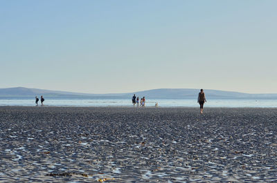 People on beach against clear sky