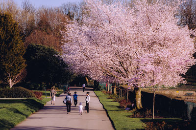 View of park with trees in background