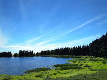 Scenic view of lake against blue sky