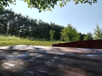 Surface level of trees on field against clear sky