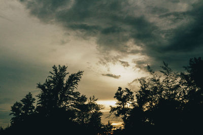 Low angle view of silhouette tree against sky during sunset