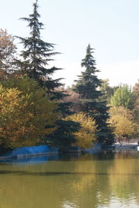 Reflection of trees in lake against sky
