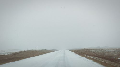 Empty road along trees