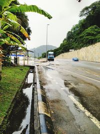 Wet road by trees in city during rainy season