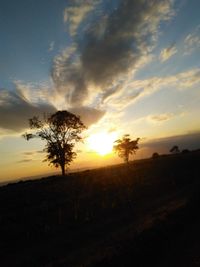 Silhouette trees on field against sky during sunset