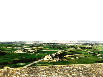 Scenic view of grassy field