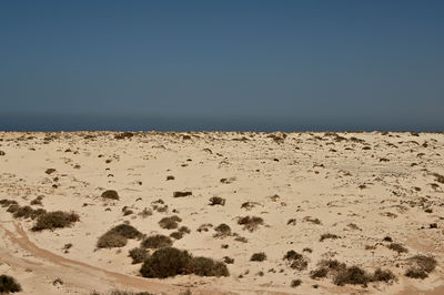 Scenic view of beach against clear sky