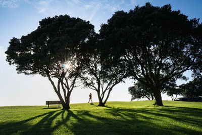 Trees on field against sky