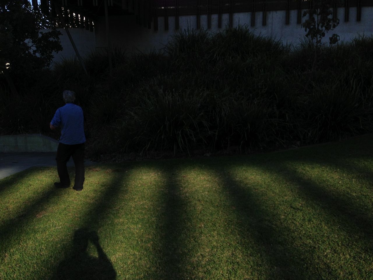 full length, walking, lifestyles, rear view, leisure activity, men, standing, person, night, casual clothing, shadow, street, side view, grass, tree, outdoors, sunlight, footpath