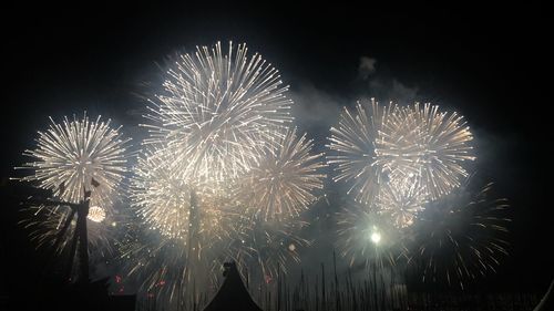 Fireworks exploding in night sky