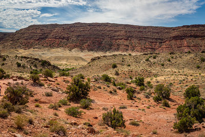 Scenic view of rocky mountains against sky