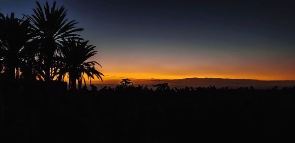 Silhouette palm trees against sky during sunset