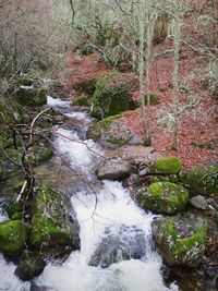 Stream flowing through rocks