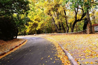 Road amidst trees during autumn