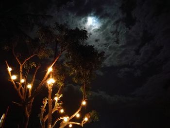 Low angle view of illuminated trees against sky at night