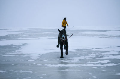 Woman with dog walking on frozen lake