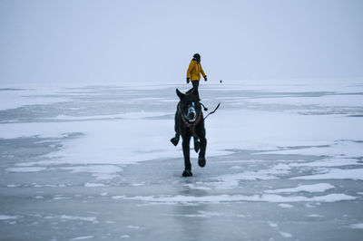 Man with dog on street during winter